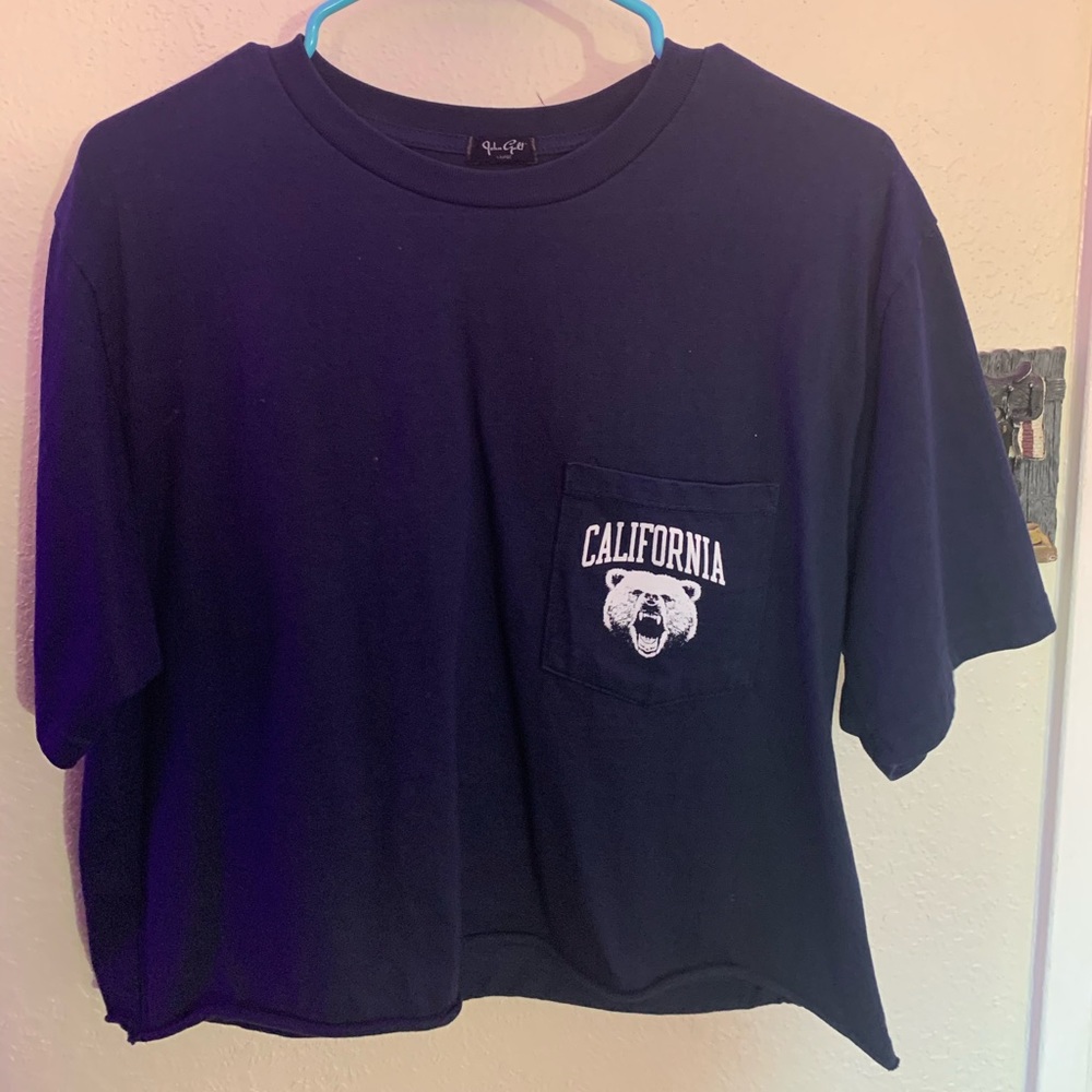 brandy melville california crop top